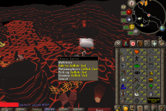 jad-pet-54